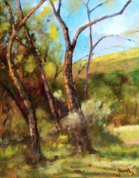 Ukrytý kout 50x40